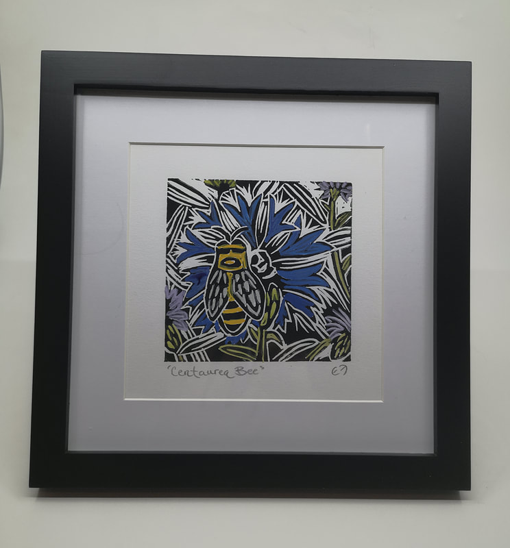 A square framed linocut print of a Centaurea Bee resting on a beautiful blue flower.